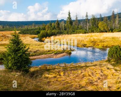 Kleiner Gebirgsbach schlängelt sich mitten in Wiesen und Wald. Sonniger Tag mit blauem Himmel und weißen Wolken im Isergebirge, Nordböhmen, Tschechische Republik. Stockfoto