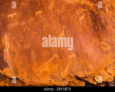 Bushman Gravuren in den Granitfelsen, Twyfelfontein UNESCO Weltkulturerbe, Kunene Region, Damaraland, Namibia, Afrika. Stockfoto