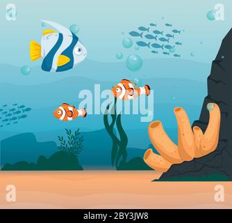 Clownfish Tiere marine im Meer, mit Zierfischen, Meereswelt Bewohner, niedliche Unterwasserwesen, Lebensraum marine Stock Vektor