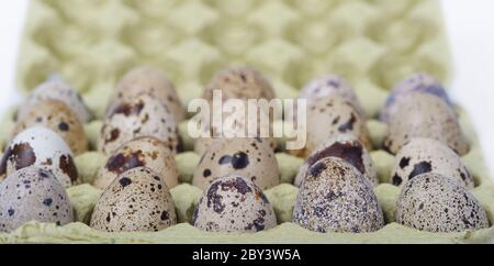 Eiern im Paket Stockfoto