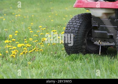 Gartenkonzept Hintergrund. Gärtner Schneiden Sie das lange Gras auf einem Traktor Rasenmäher Stockfoto