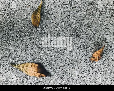 Mörtelsteingang mit trockenen Blättern. Details der modernen Architektur. Stockfoto