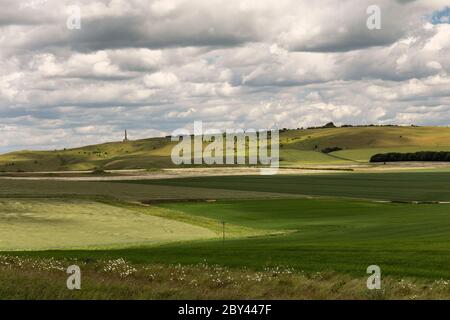 Blick von der Spitze des Morgans Hill mit Blick auf ein sonnenbeschienene Lansdowne Monument und Calstone und Cherhill Downs, Wiltshire England, Großbritannien. Stockfoto