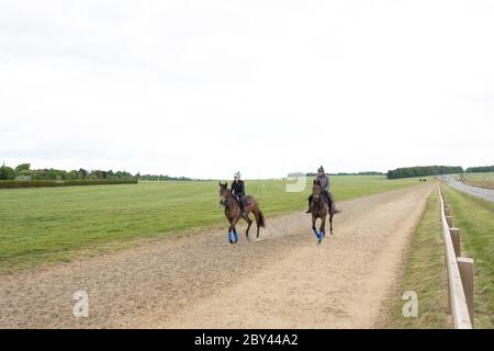 Ein Paar Reiter auf galoppierenden Pferden in einem öffentlichen, offenen Raum gesehen. Gesehen neben Fechten und einer verlassenen Straße, die von der Spitze eines Hügels. Stockfoto