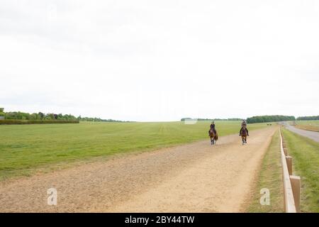 Ein Paar professioneller Jockeys, die auf einem Vollblut-Rennpferd gesehen wurden, nachdem sie eine Trainingseinheit in Newmarket, Großbritannien, absolviert hatten. Stockfoto