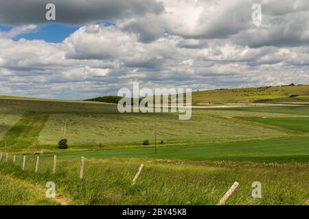 Blick von Morgans Hill auf Lansdowne Monument und Calstone und Cherhill Downs, Wiltshire England, Großbritannien. Stockfoto