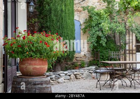 Ein Terrakotta-Topf mit einer schönen Pflanze mit roten Blumen im Innenhof eines Hauses in der Provence, Frankreich Stockfoto