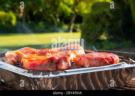 Nahaufnahme von frisch zubereiteten Burgern und Koteletts, die im Frühsommer auf einem kleinen Grill in einem großen Garten gesehen werden. Stockfoto