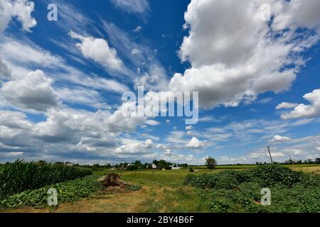 Malerische ländliche Landschaften, das Dorf Korolevka Ukraine. Stockfoto