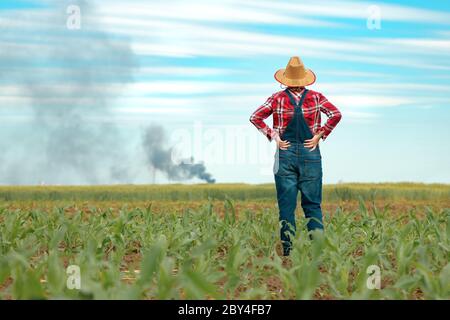 Besorgte Farmerin in Maisfeld Blick auf schwarzen Rauch am Horizont, Konzept der Versicherung in der Landwirtschaft und Landwirtschaft Stockfoto