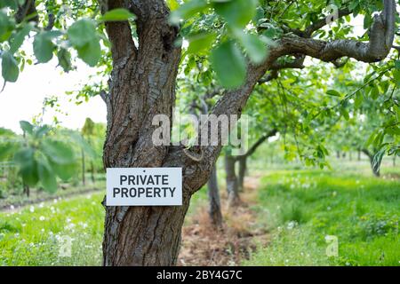 Private Property Zeichen gesehen genagelt an einem alten Apfelbaum in einem privaten Obstgarten gesehen, neben öffentlichen Fußweg. Stockfoto