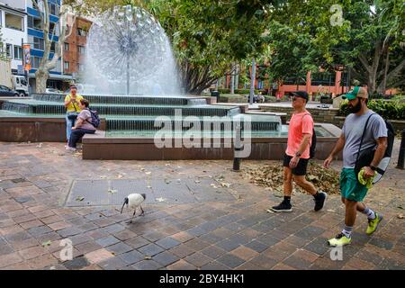 Der El-Alamain Fountain in Kings Cross mit Einheimischen und einem sogenannten bin Chicken (australisches weißes Ibis), Sydney, Australien Stockfoto