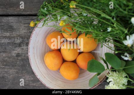 Reife frische Aprikosen in einer weißen Vintage-Schale auf einem rustikalen Holztisch, der mit Akazienblüten, Holunderbeeren und Kräutern dekoriert ist. Sommerkomposition Stockfoto