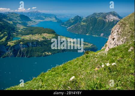 Blick vom Fronalpstock über den Vierwaldstättersee und Urnersee in der Innerschweiz Stockfoto