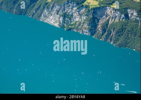 Ufer mit Felsen und Windsurfern am Urnersee Stockfoto