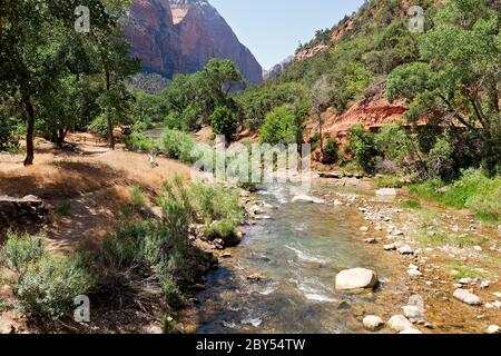 Der Virgin River stürzt sanft über Felsen, während er sich durch den Zion Canyon schlängelt Stockfoto