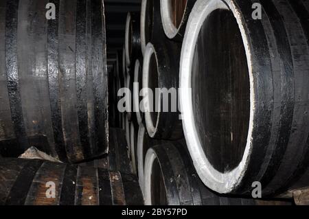 Reihen von Alkoholfässern in einem Lager einer Fabrik für die Produktion von Cognac, Whiskey, Wein, Brandy. Stockfoto