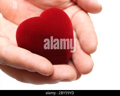 Die Hände des Mannes geben dem Herzen am valentinstag die Hand Stockfoto