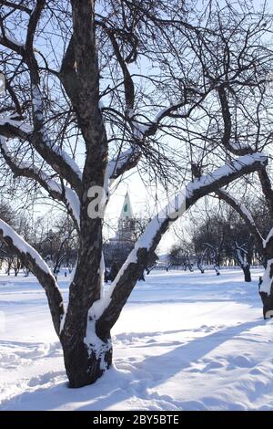 Solar Winter Day im Park Kolomenskoe Stockfoto