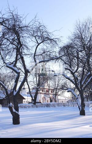 Solar Winter Day im Park Kolomenskoe Stockfoto