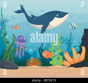 Blauwal mit Fischen und wilden Meerestieren im Meer, Meeresbewohner, niedliche Unterwasserwesen, Lebensraum Meereskonzept Stock Vektor
