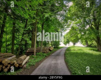 DE - BAYERN: Die Straße hinauf nach Buchberg bei Bad Toelz Stockfoto