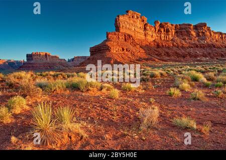 Sandsteinfelsen bei Sonnenaufgang, Valley of the Gods, Bears Ears National Monument, Cedar Mesa, Utah, USA Stockfoto