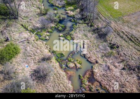 Flussarm des Liwiec Flusses in der Nähe von Wolka Paplinska im Verwaltungsbezirk Gmina Lochow, innerhalb der WeGrow County, Polen Stockfoto