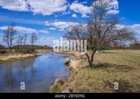 Liwiec Fluss in Gmina Lochow innerhalb WeGrow County, Polen Stockfoto