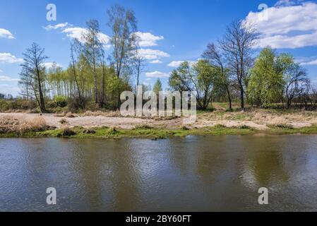 Liwiec Fluss in Gmina Lochow innerhalb WeGrow County, Polen Stockfoto