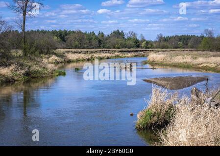 Liwiec Fluss in Gmina Lochow innerhalb WeGrow County, Polen Stockfoto