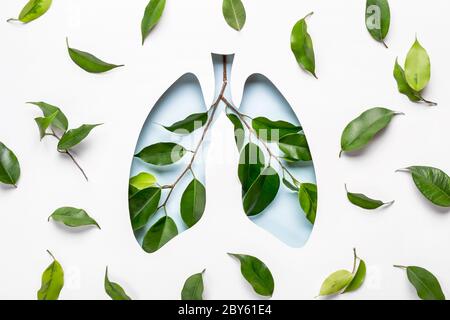 Blaue Lungen und grüne Zweige als Symbol für gesunde Lungen. Welttuberkulosetag oder Weltlungstag Konzept. Minimale Papierkunst. Stockfoto