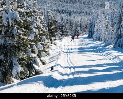 Sonniger Tag auf dem Wintergebirge mit präparierten Loipen, Isergebirge, Tschechische Republik Stockfoto