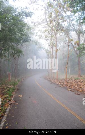 Ein Bild einer von Nebel überzogenen Straße Stockfoto