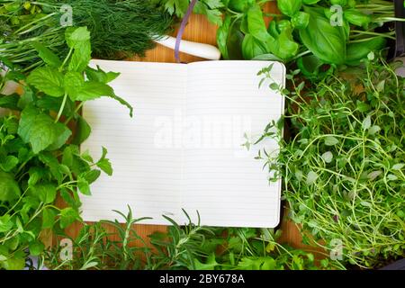 Leeres Notizbuch für Rezepte Stockfoto