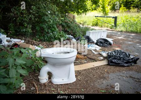 Selchow, Deutschland. Juni 2020. Ein kaputtes weißes Bücherregal, eine weggeworfene Toilettenschüssel und anderer Müll wurden am Rande eines Waldweges abgesetzt. Quelle: Soeren stache/dpa-Zentralbild/ZB/dpa/Alamy Live News Stockfoto
