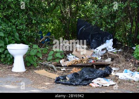 Selchow, Deutschland. Juni 2020. Eine weggeworfene Toilettenschüssel und anderer Müll wurden am Rande eines Waldweges abgelassen. Quelle: Soeren stache/dpa-Zentralbild/ZB/dpa/Alamy Live News Stockfoto