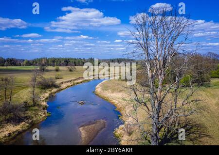 Liwiec Fluss in der Nähe von Wolka Paplinska im Verwaltungsbezirk Gmina Lochow, innerhalb der WeGrow County, Polen Stockfoto