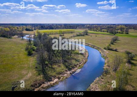 Liwiec Fluss in der Nähe von Wolka Paplinska im Verwaltungsbezirk Gmina Lochow, innerhalb der WeGrow County, Polen Stockfoto