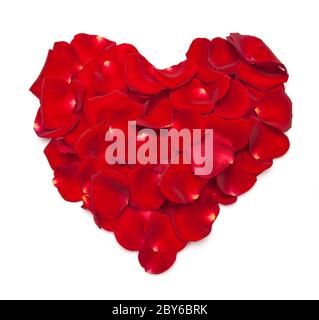 Herzform aus Rose gemacht Stockfoto