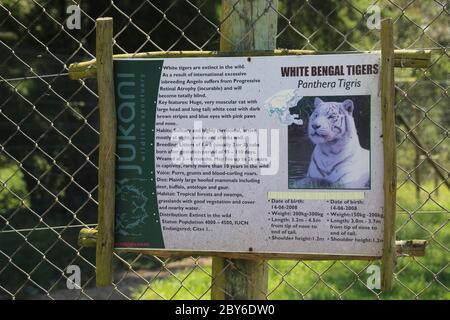 Informationstafel über Bengal Tiger, eine seltene Art, in Jukani Wildlife Sanctuary in der Nähe von Plettenberg Bay. Garden Route, Südafrika, Afrika. Stockfoto
