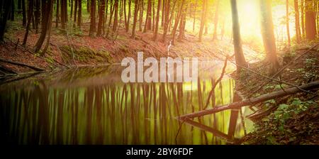 Ruhiger breiter Fluss in einem mystischen Wald. Stockfoto