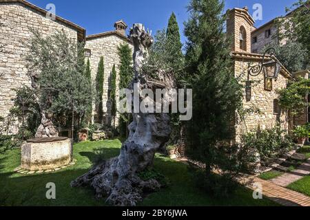 Home Garten in Assisi mit eigener Kapelle und alten Olivenbäumen Stockfoto