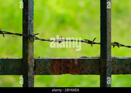 Nahaufnahme des alten rostigen Zauns mit Stacheldraht Stockfoto