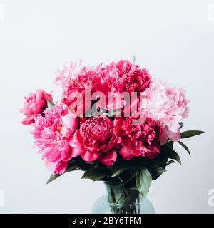 Schöne Pfingstrosen Bouquet in Glasvase auf Beton Wand Hintergrund. Weicher Fokus, Vorderansicht. Stockfoto