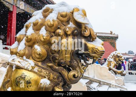 Vergoldete chinesische Löwenskulpturen vor dem Tor der himmlischen Reinheit im Forbidden City Palace Complex im Zentrum Pekings, China Stockfoto