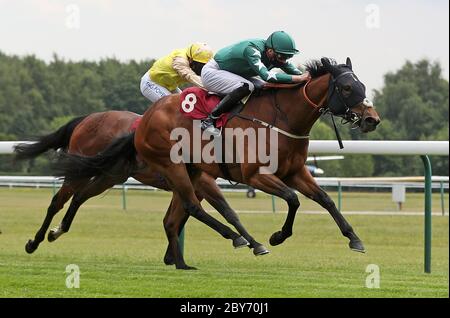 Ein Hauch Freude, geritten von James Doyle gewinnt die Betway Beachten Sie Ihr hunch Handicap auf der Haydock Park Rennbahn. Stockfoto