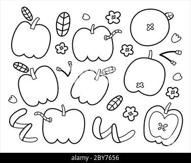 Apfelkritzelsammlung, süße Apfelfrucht mit Blättern, Wurm, blühenden Blumen und Zweigen, trendige Umrisszeichnung, handgezeichnete Kunst in Schwarz und Weiß Stock Vektor