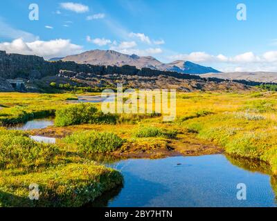 Thingvellir Nationalpark - Naturgebiet rund um geologische Kluft, Island. Stockfoto