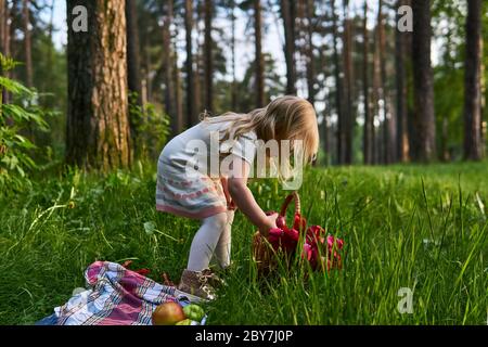 Kleines Mädchen auf einem Picknick in einem Park nimmt Blumen aus einem Korb Stockfoto